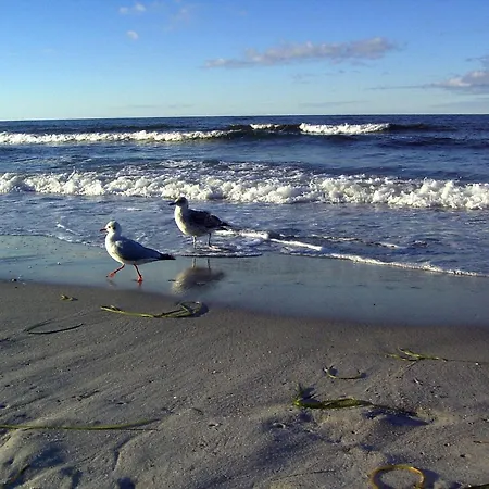 Grosser Pirat Διαμέρισμα Zingst