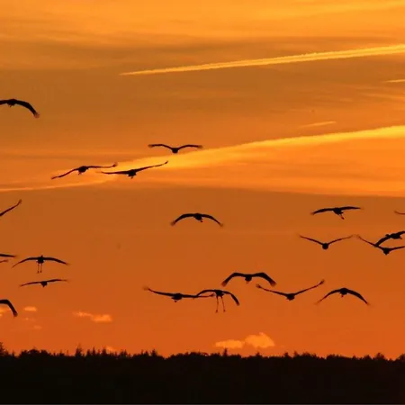 דירה Grosser Pirat *