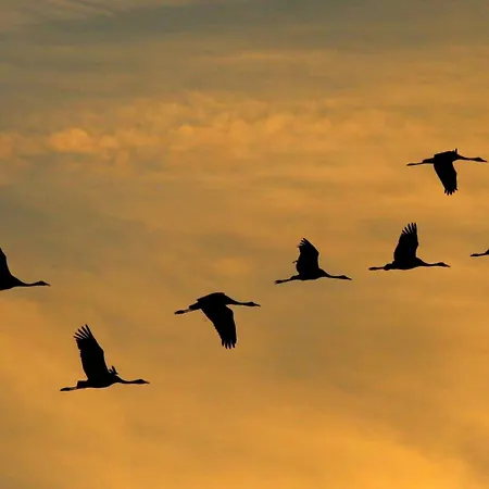 דירה Grosser Pirat זינקסט